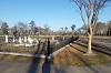 Cemetery fencing
